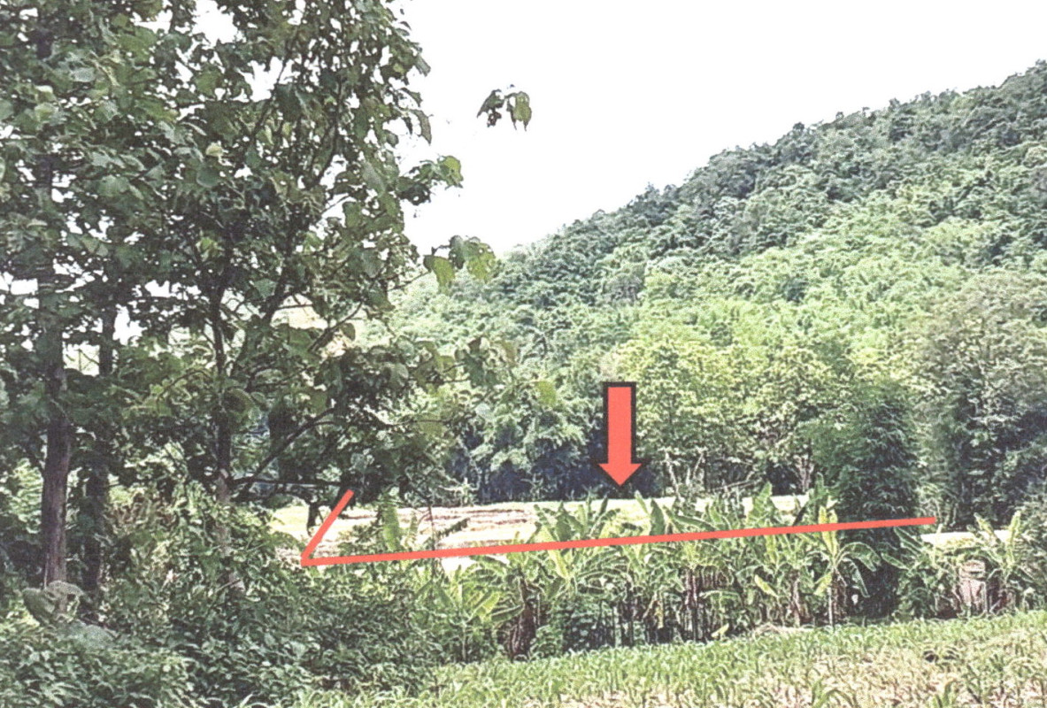 ที่ดินเปล่า อุตรดิตถ์ น้ำปาด บ้านฝาย 139000