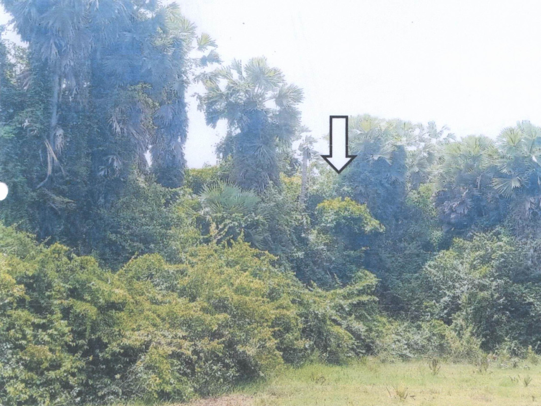 Residential land/lot Songkhla Singhanakhon Ching Kho 582150