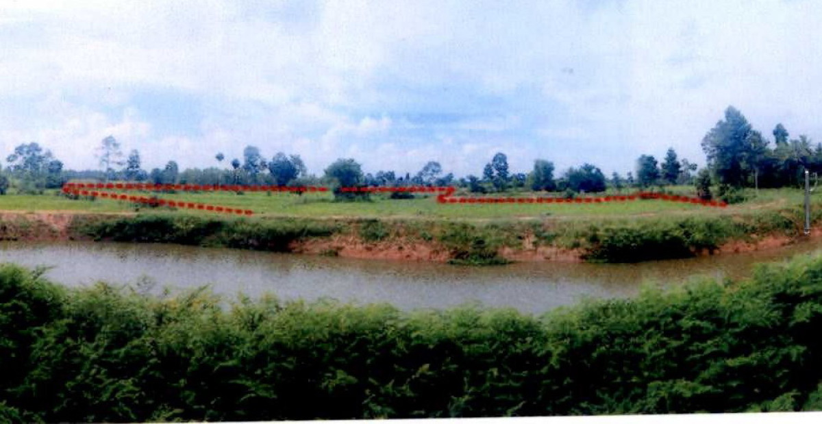 ที่ดินเปล่า บุรีรัมย์ นางรอง ทุ่งแสงทอง 552400