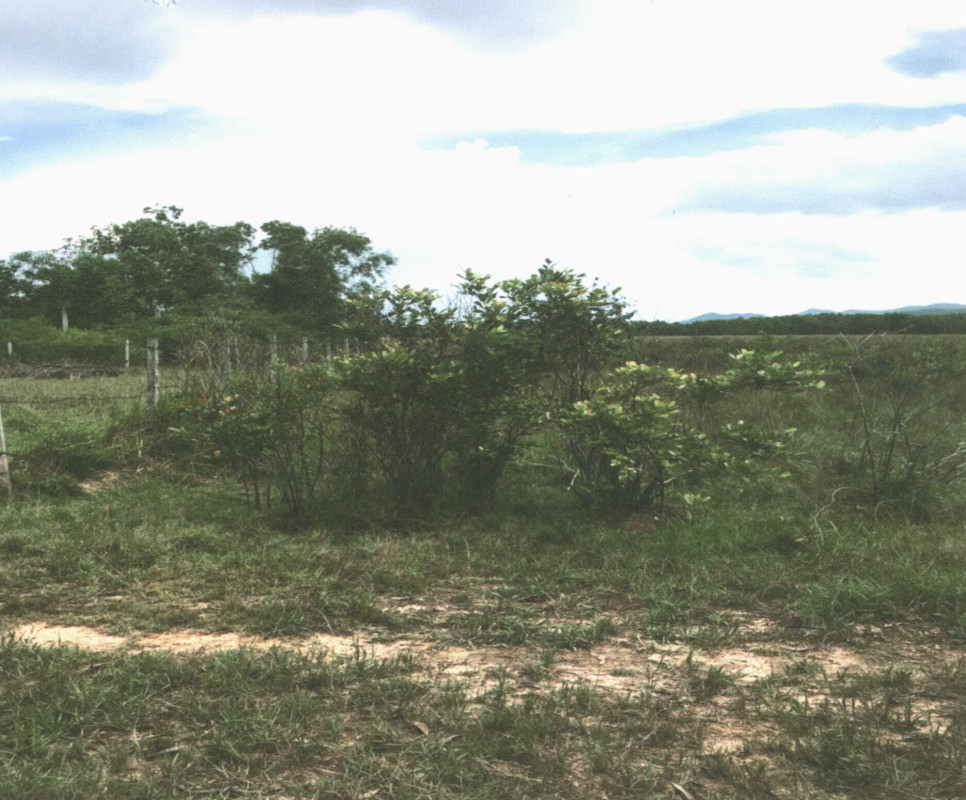 Residential land/lot Songkhla Hat Yai Nam Noi 19500