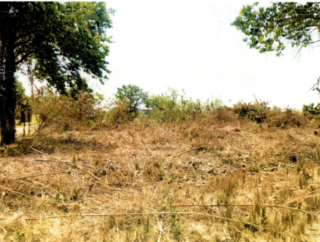 Residential land/lot Nakhon Ratchasima Khong Mueang Khong 20000