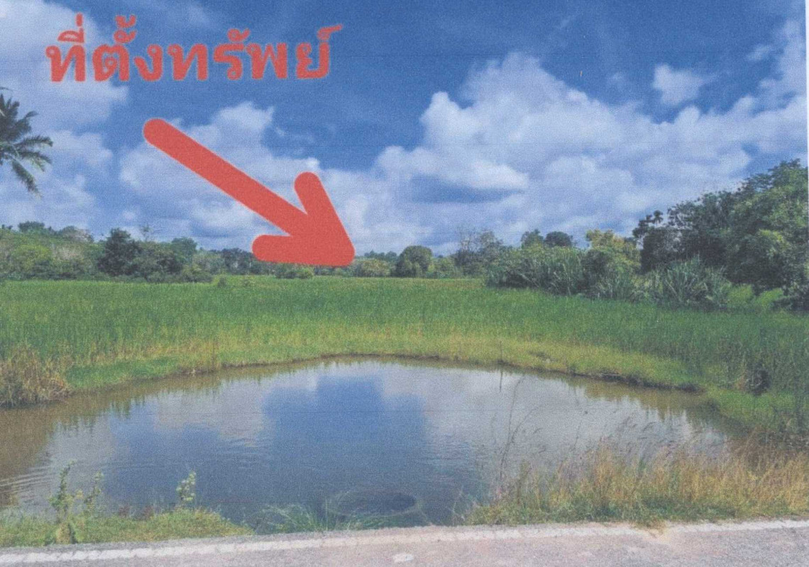 Residential land/lot Pattani Thung Yang Daeng Pa Ku 48468