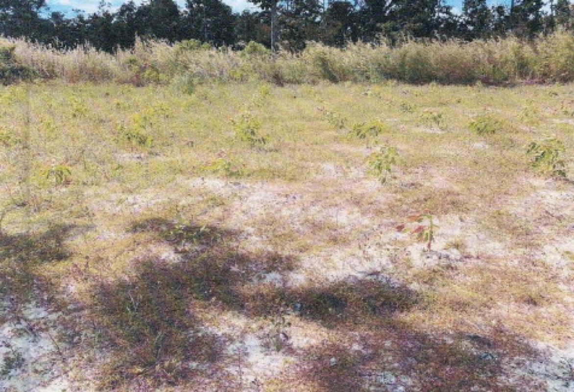 Residential land/lot Ubon Ratchathani Trakan Phuet Phon Na Samai 136500
