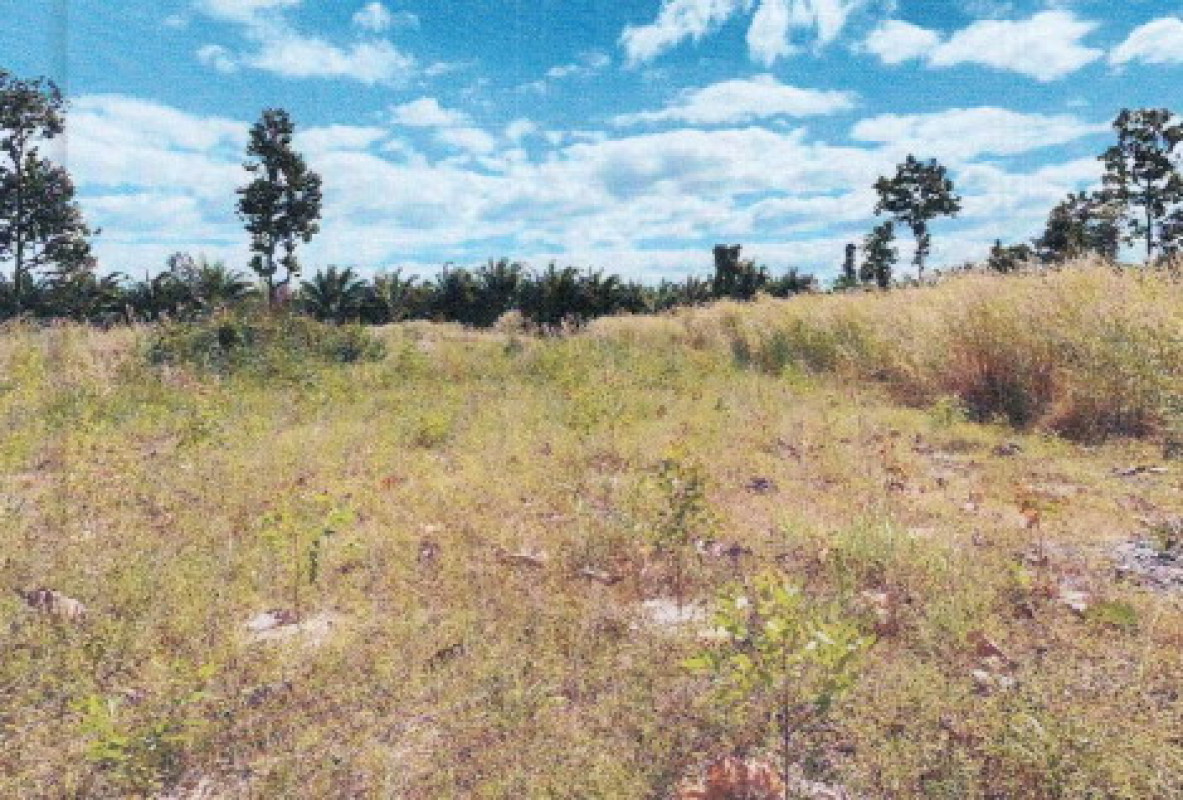 Residential land/lot Ubon Ratchathani Trakan Phuet Phon Na Samai 547800