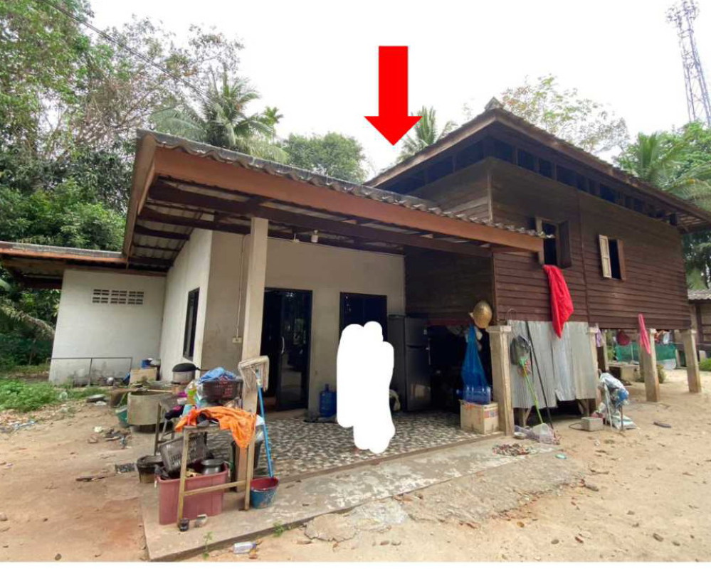 Single house Surat Thani Chaiya Pa We 4182593