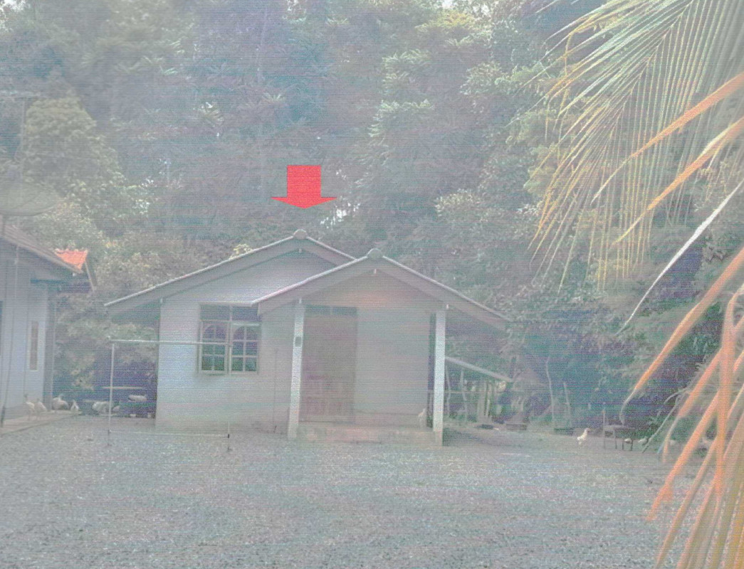 Single house Nakhon Si Thammarat Thung Song Khao Ro 543390
