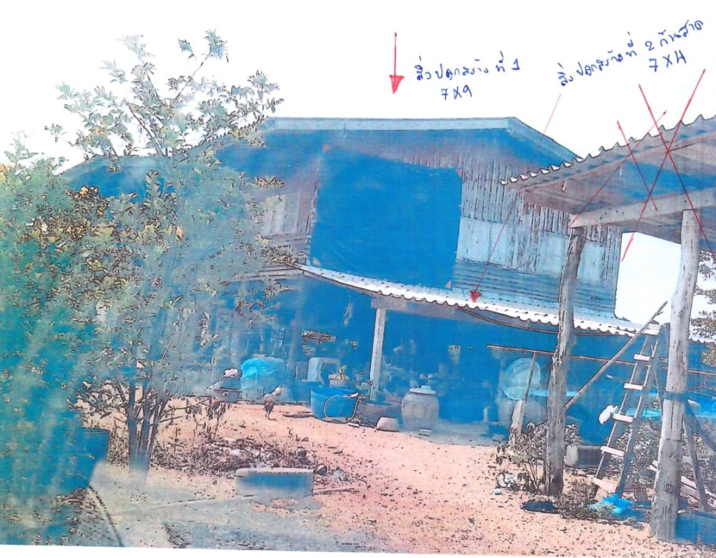 บ้านเดี่ยว นครปฐม กำแพงแสน สระพัฒนา 353525
