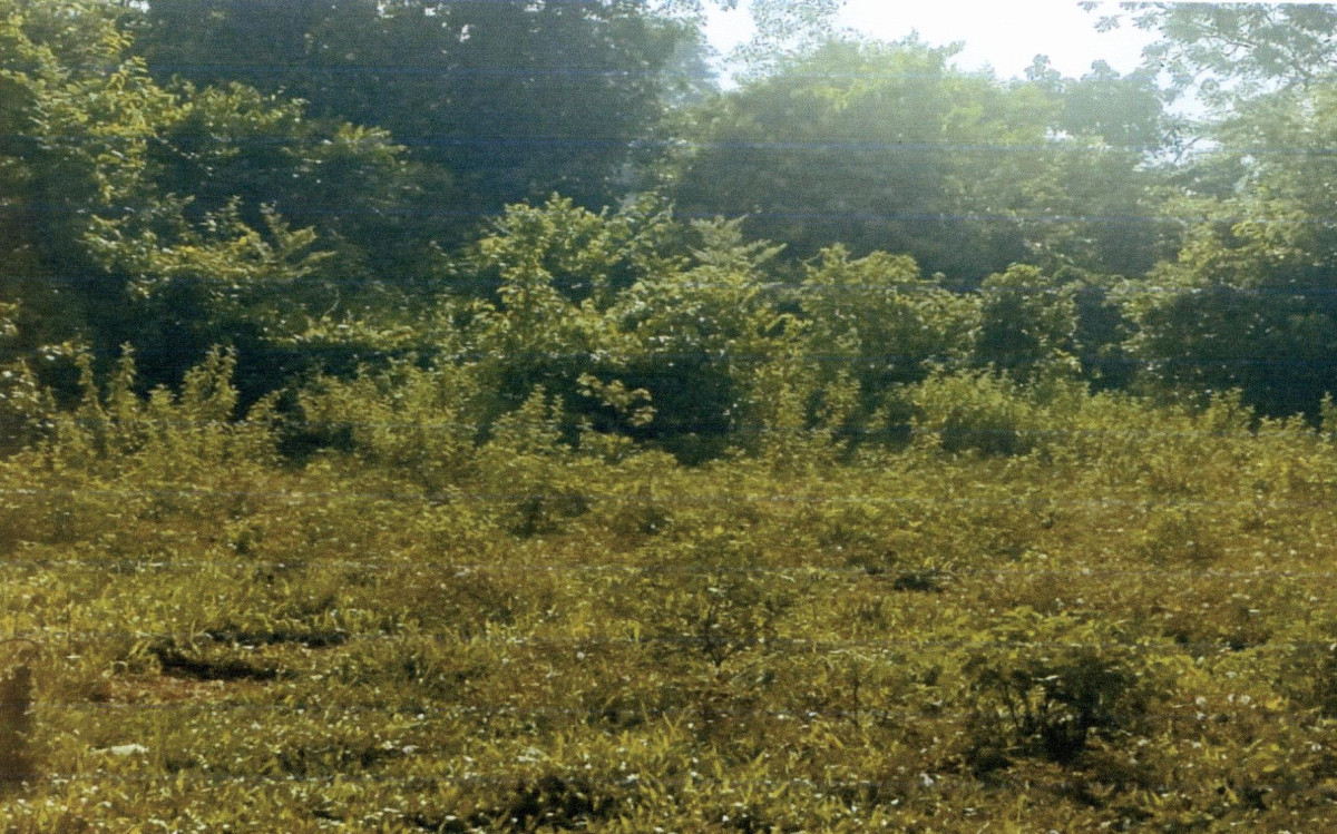 Residential land/lot Songkhla Hat Yai Khlong Hae 109750