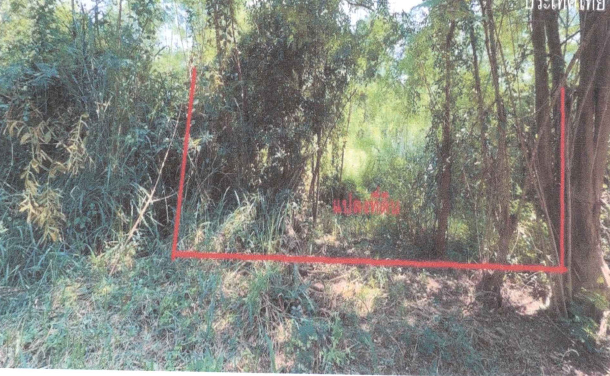 Residential land/lot Prachuap Khiri Khan Hua Hin Hin Lek Fai 175200