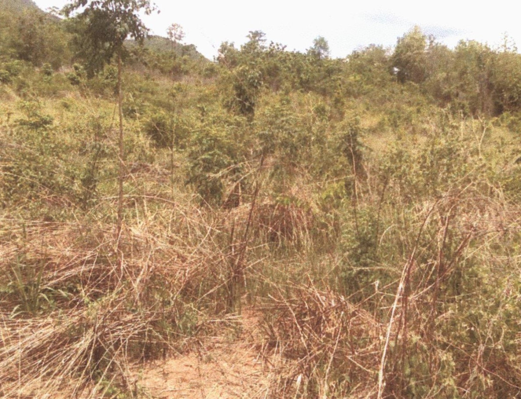 Residential land/lot Chiang Mai Hot Ban Tan 790000
