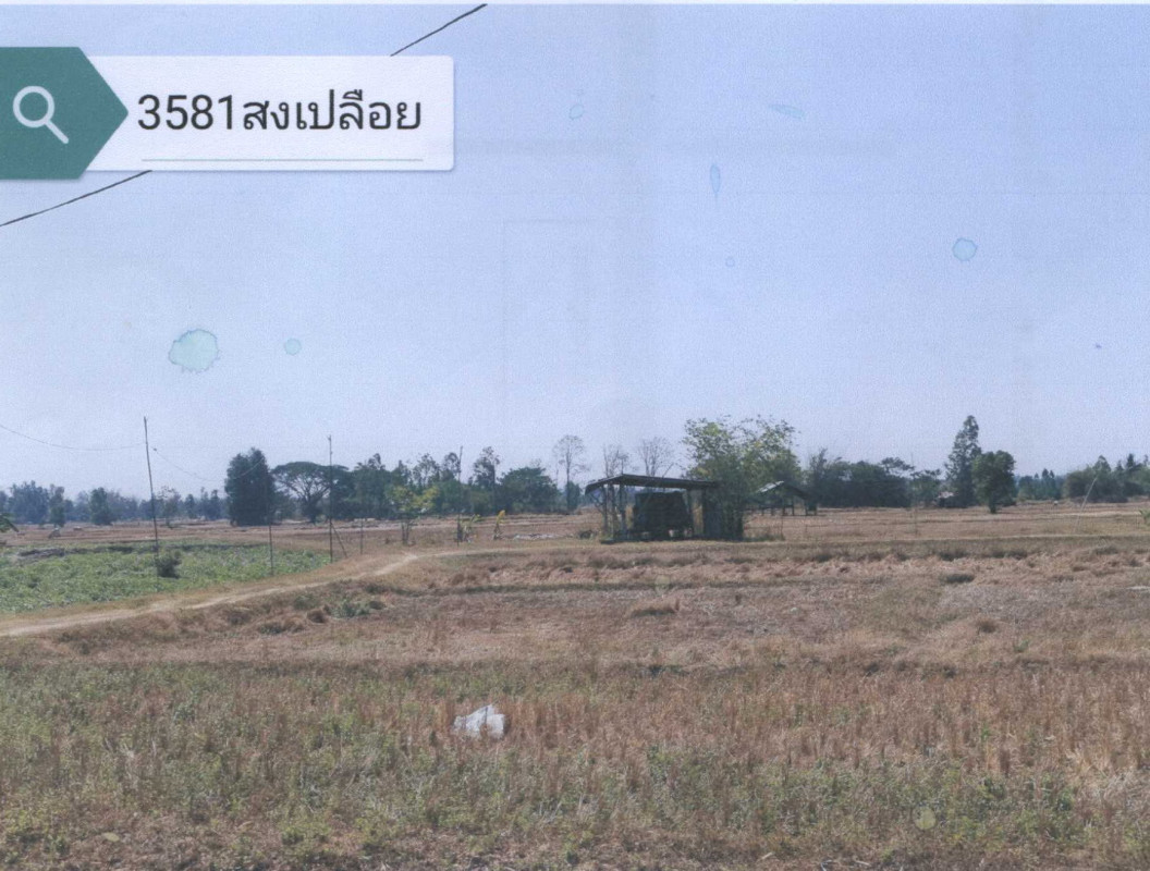 ที่ดินเปล่า กาฬสินธุ์ นามน สงเปลือย 1657800
