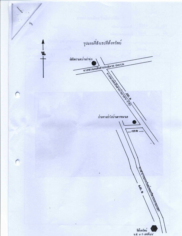 ที่ดินเปล่า ปัตตานี สายบุรี ปะเสยะวอ 444300