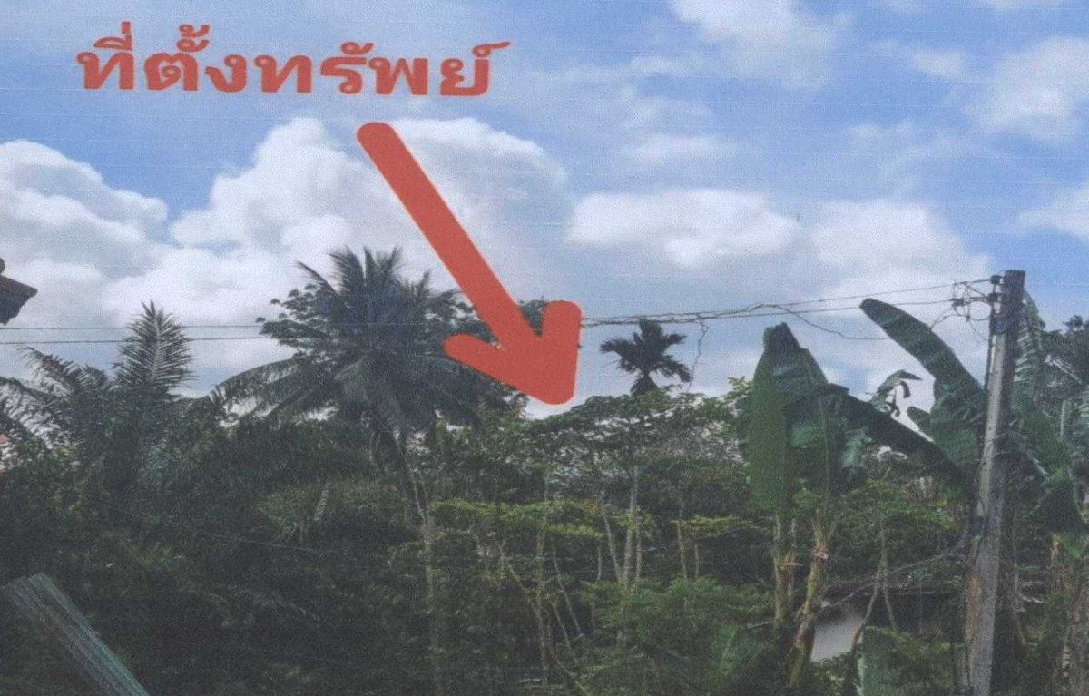 ที่ดินเปล่า ปัตตานี ทุ่งยางแดง ปากู 29574