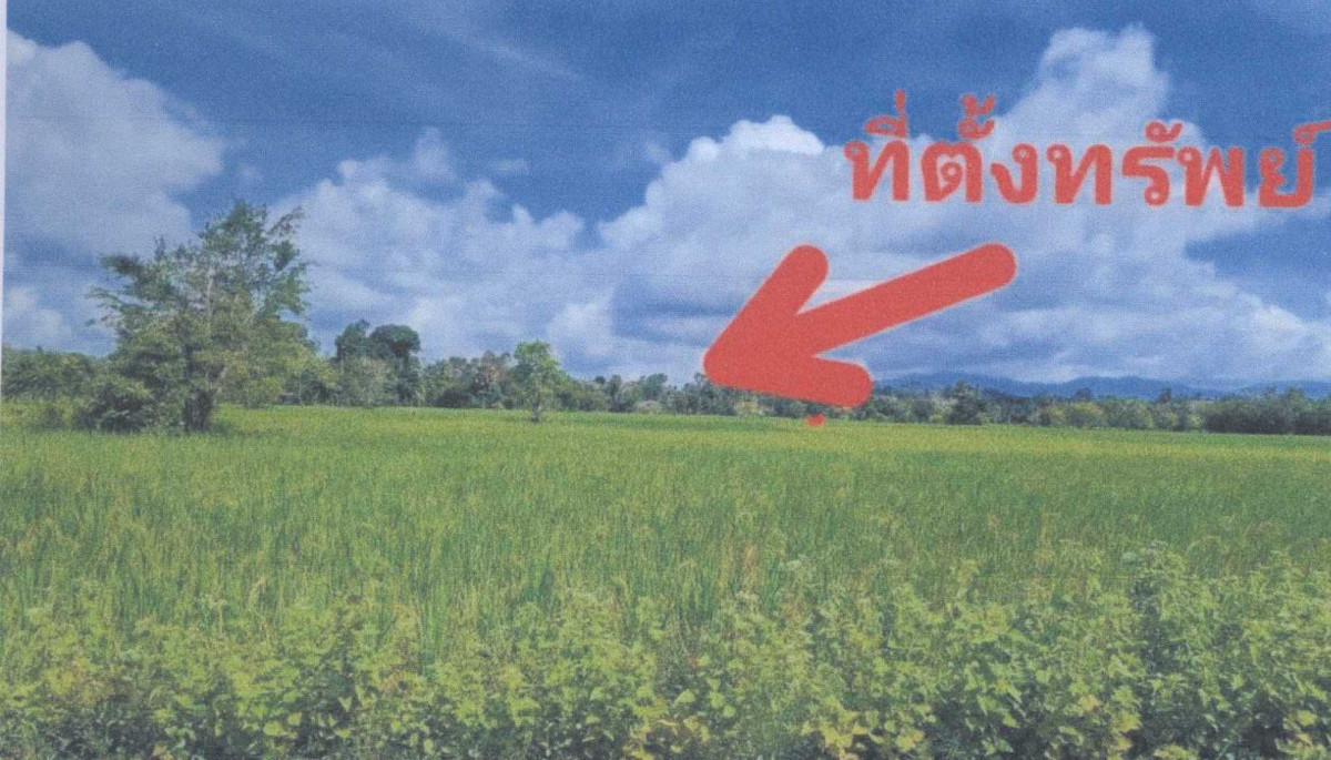 ที่ดินเปล่า ปัตตานี ทุ่งยางแดง ปากู 38610