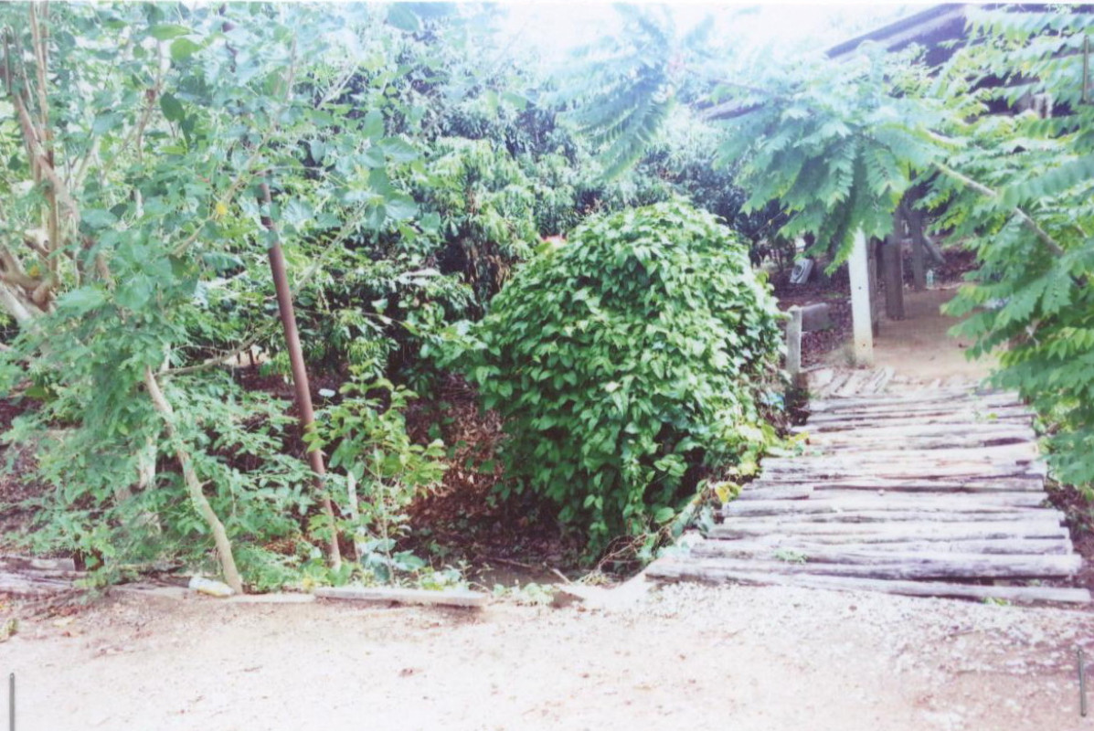 ที่ดินเปล่า ลำพูน บ้านโฮ่ง เหล่ายาว 316800