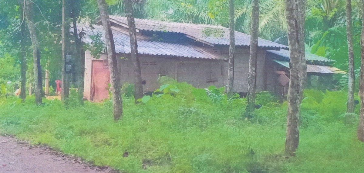 Single house Krabi Lam Thap Din Udom 390950