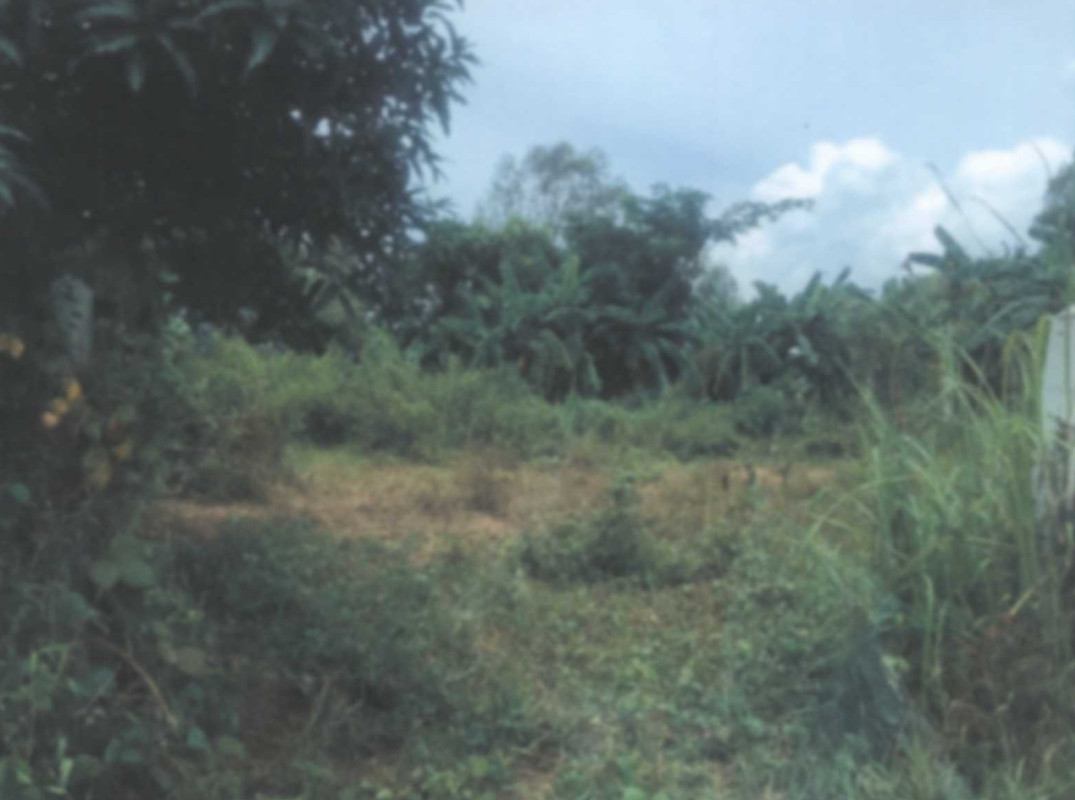 Residential land/lot Nakhon Phanom Ban Phaeng Ban Phaeng 53000