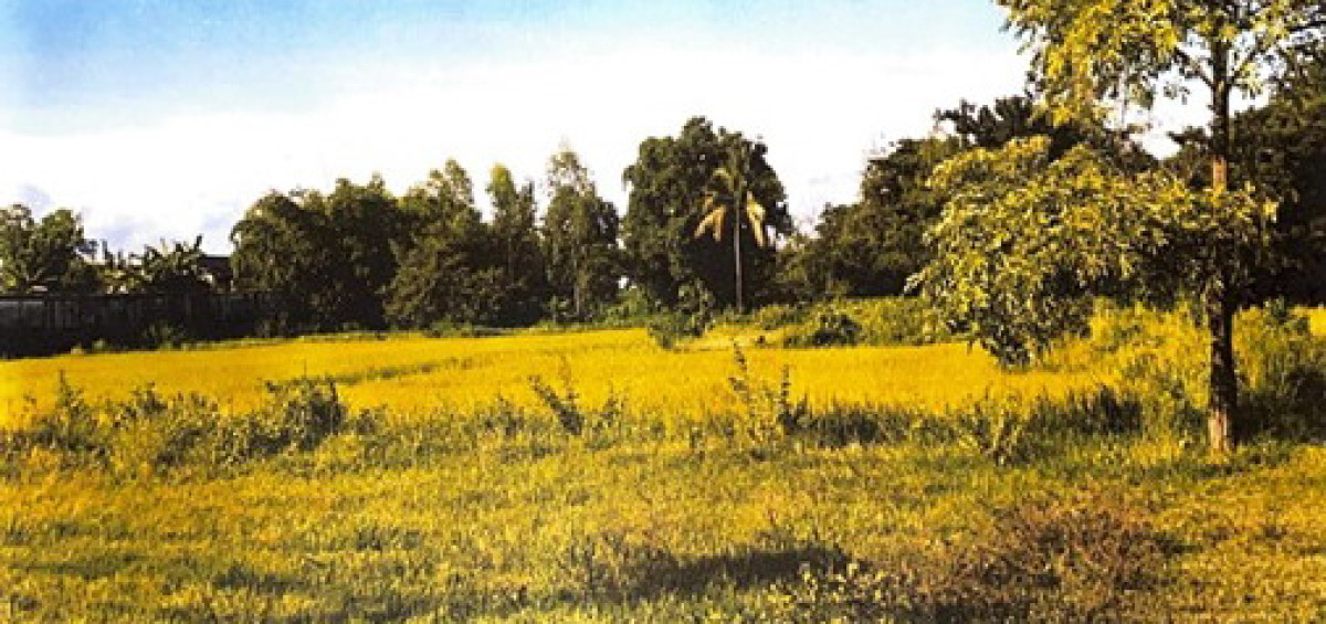 ที่ดินเปล่า สกลนคร เมืองสกลนคร ขมิ้น 1054800