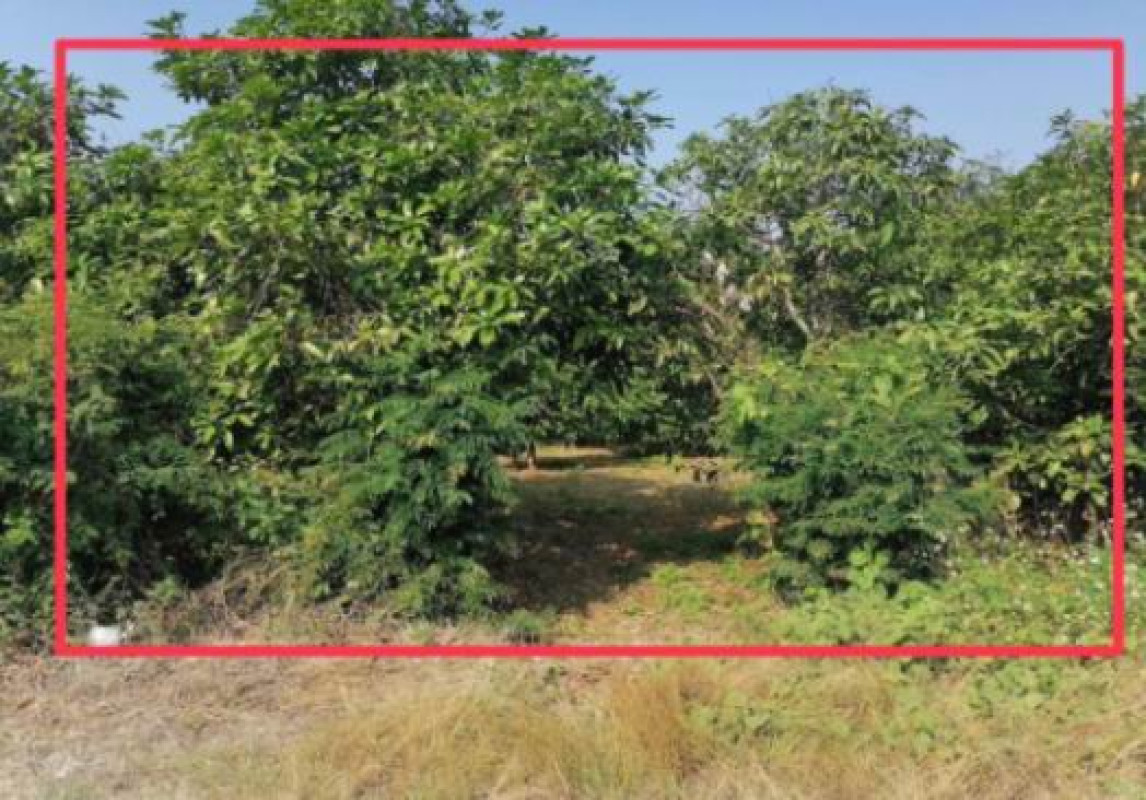 Residential land/lot Lamphun Ban Hong Lao Yao 267960