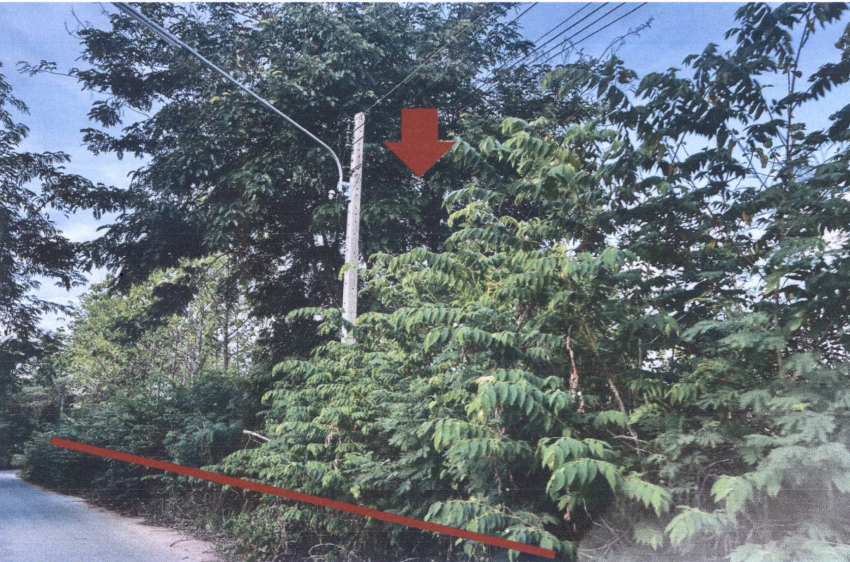 ที่ดินเปล่า ขอนแก่น โนนศิลา โนนศิลา 2136050