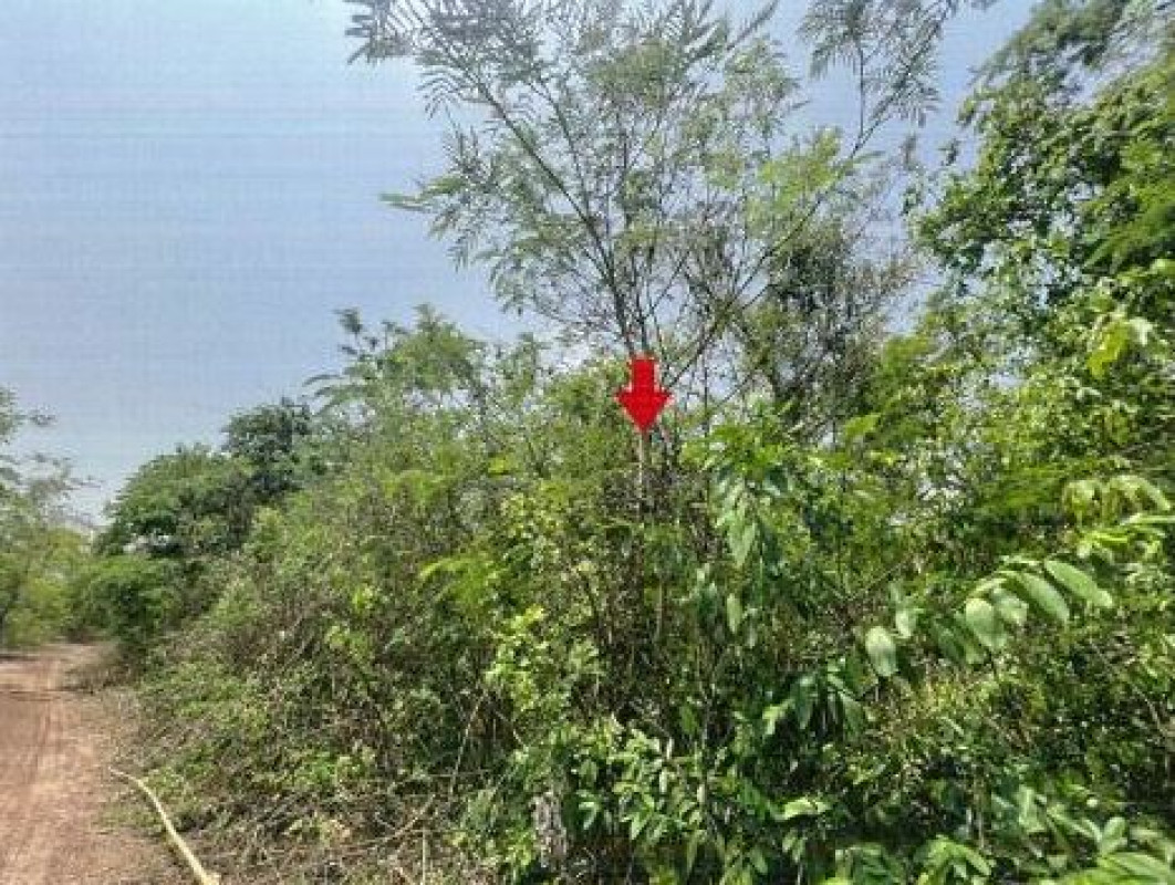 Residential land/lot Udon Thani Kumphawapi Chiang Wae 303500