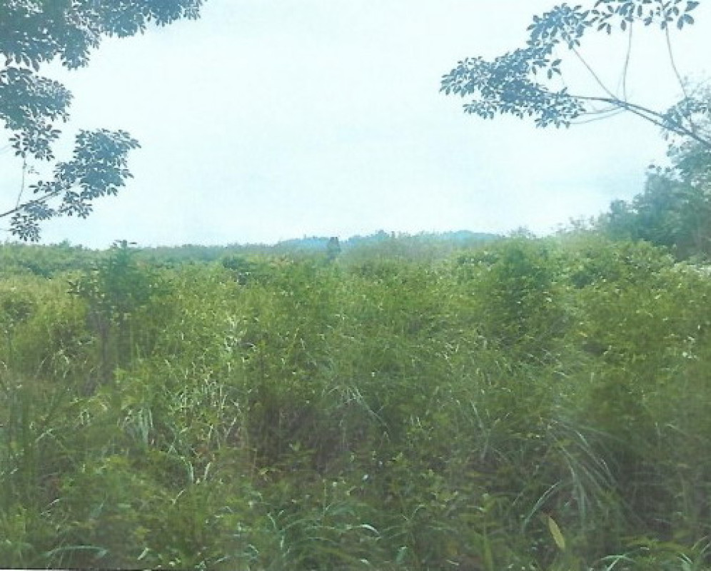 Residential land/lot Songkhla Sadao Samnak Taeo 79235