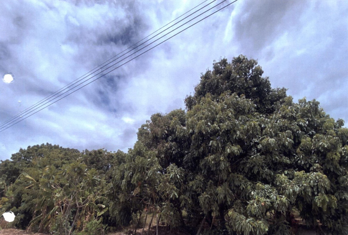 Residential land/lot Lamphun Ban Hong Nong Pla Sawai 388700