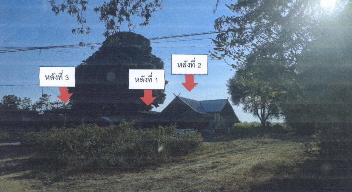 บ้านเดี่ยว นครสวรรค์ บรรพตพิสัย ตาสัง 1212175