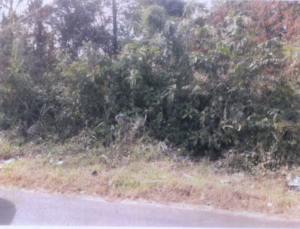 Residential land/lot Kalasin Mueang Kalasin Phon Thong 731250