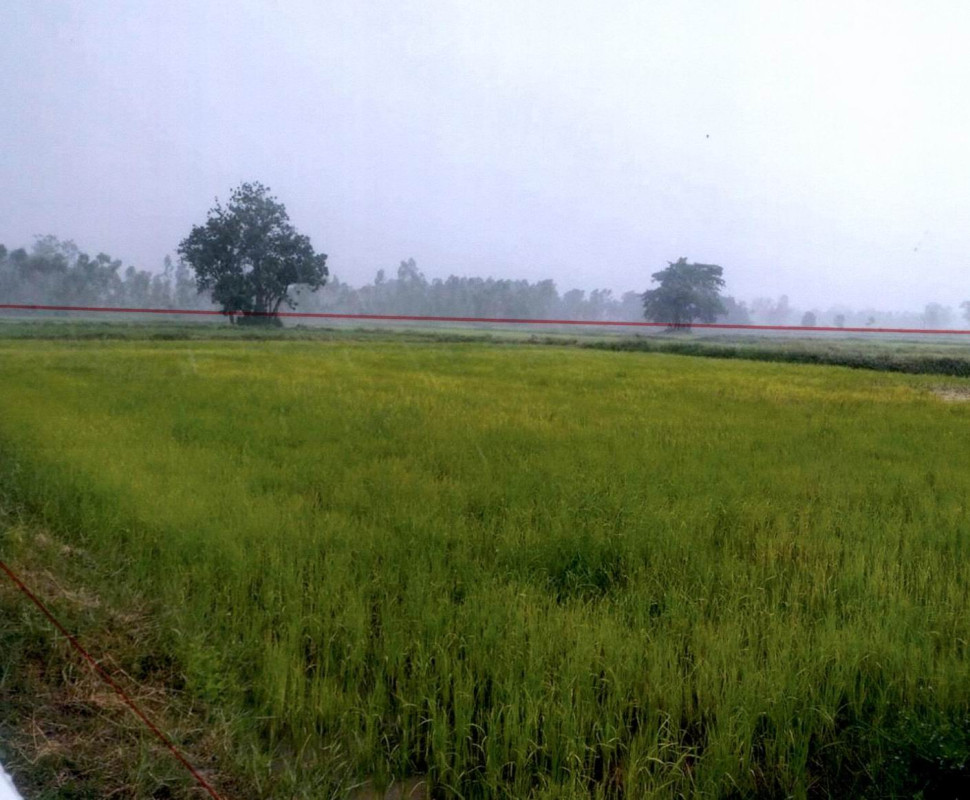 Residential land/lot Buri Ram Mueang Buri Ram Lumpuk 201525