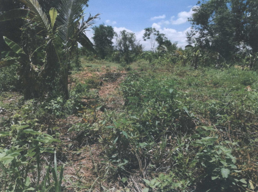 Residential land/lot Kalasin Mueang Kalasin Kalasin 750000