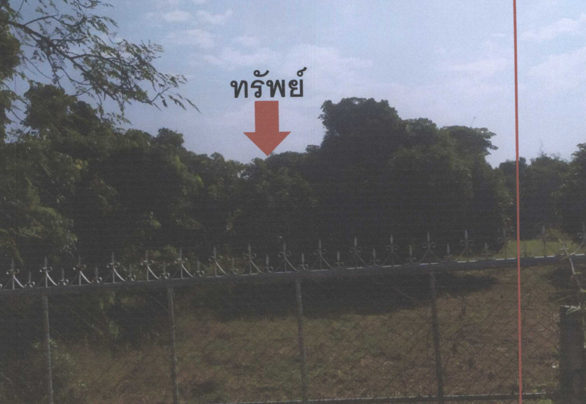 ที่ดินเปล่า เชียงใหม่ สันป่าตอง บ้านกลาง 50000