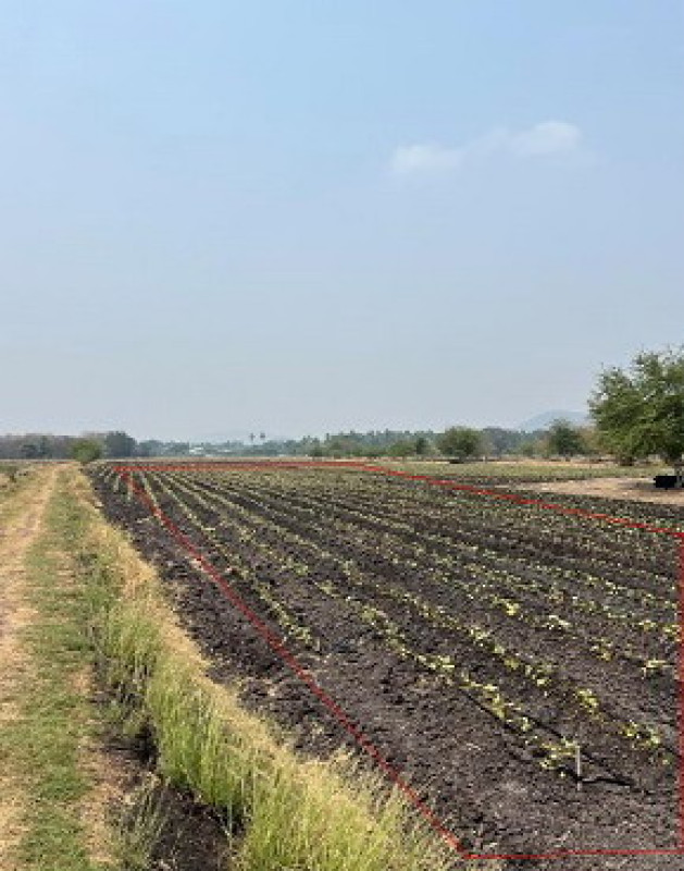 Residential land/lot Nakhon Sawan Takhli Ta Khli 60000