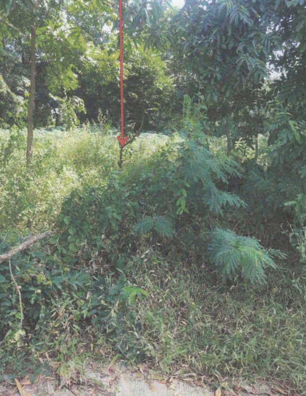 Residential land/lot Nakhon Sawan Phayuha Khiri Noen Khi Lek 19760