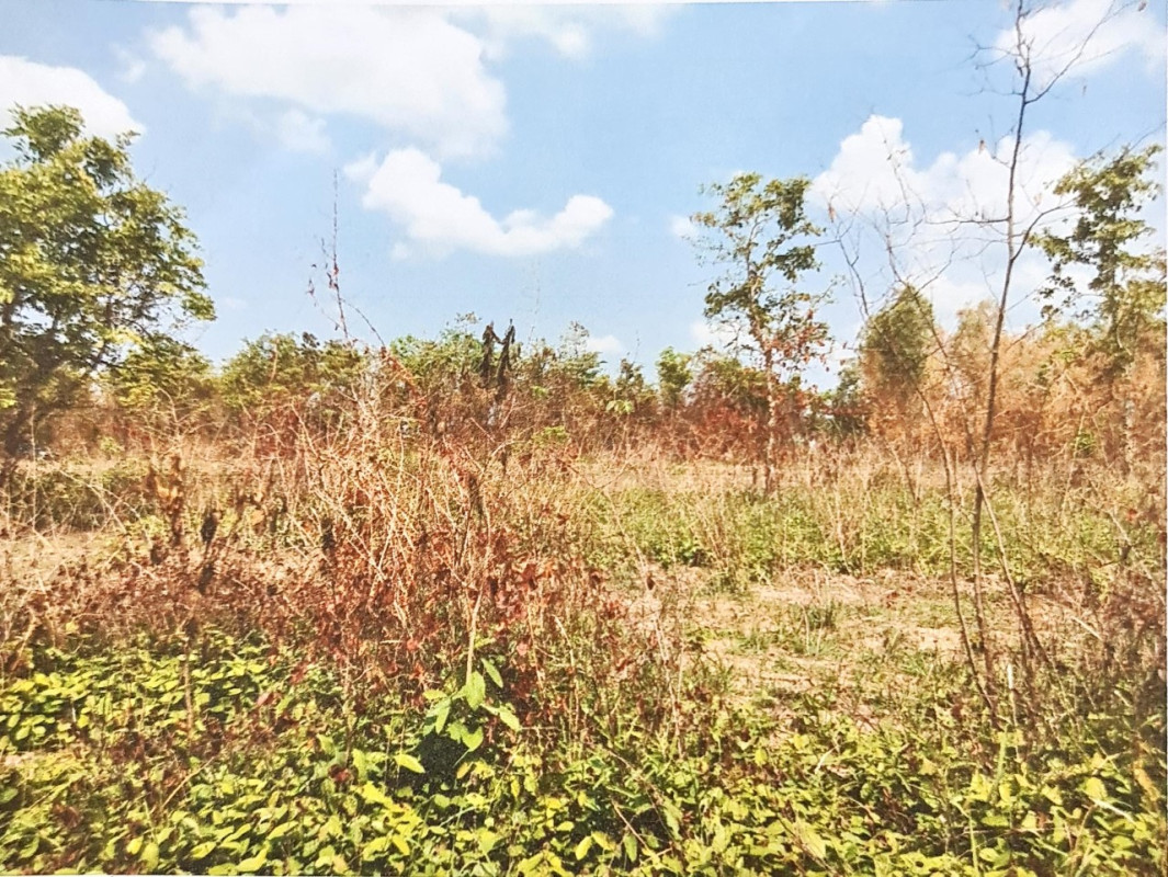 Residential land/lot Ubon Ratchathani Na Yia Na Rueang 40040