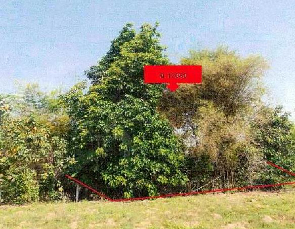 Residential land/lot Nong Khai Sri Chiang Mai Nong Pla Pak 55300