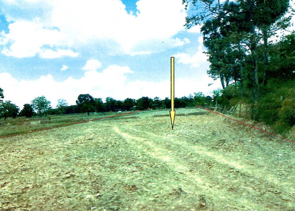 Residential land/lot Surin Sikhoraphum Nong Khwao 141980
