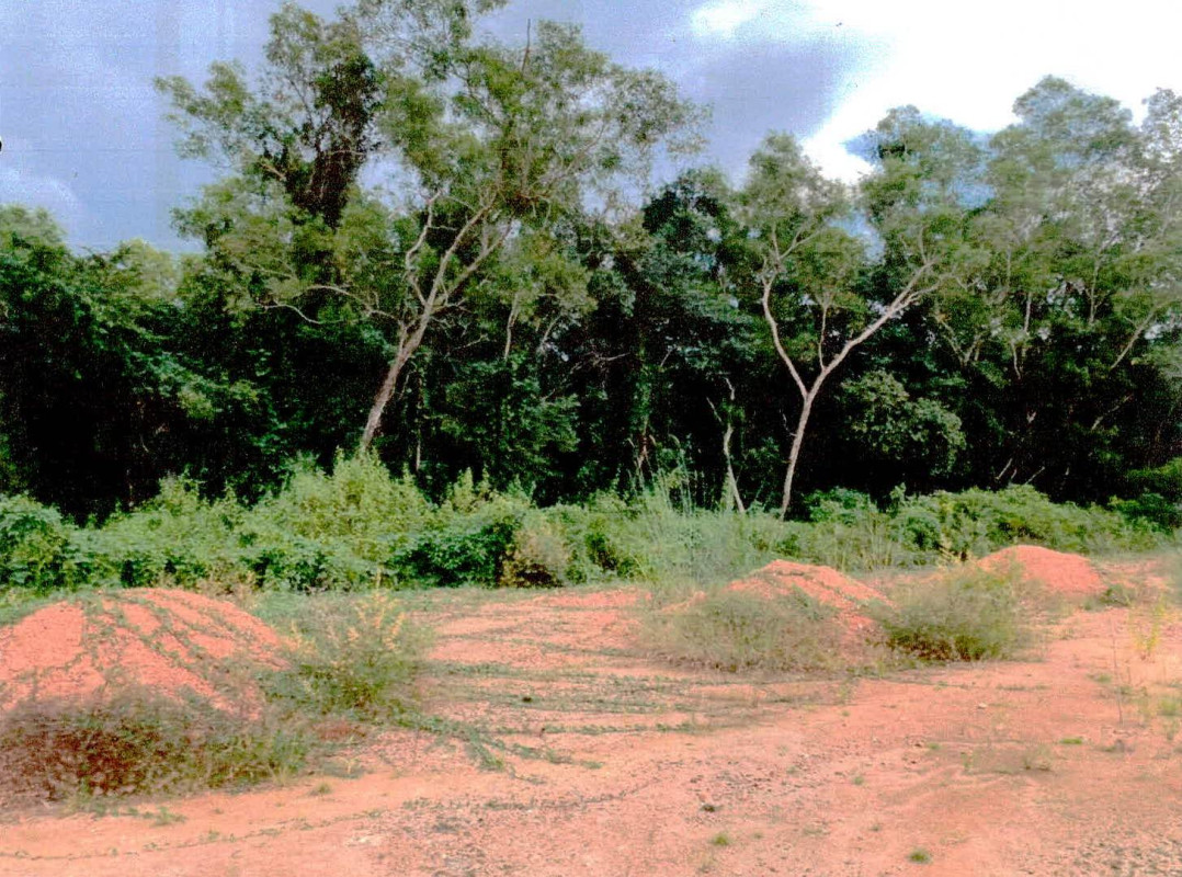 Residential land/lot Trat Mueang Trat Nong Samet 462880