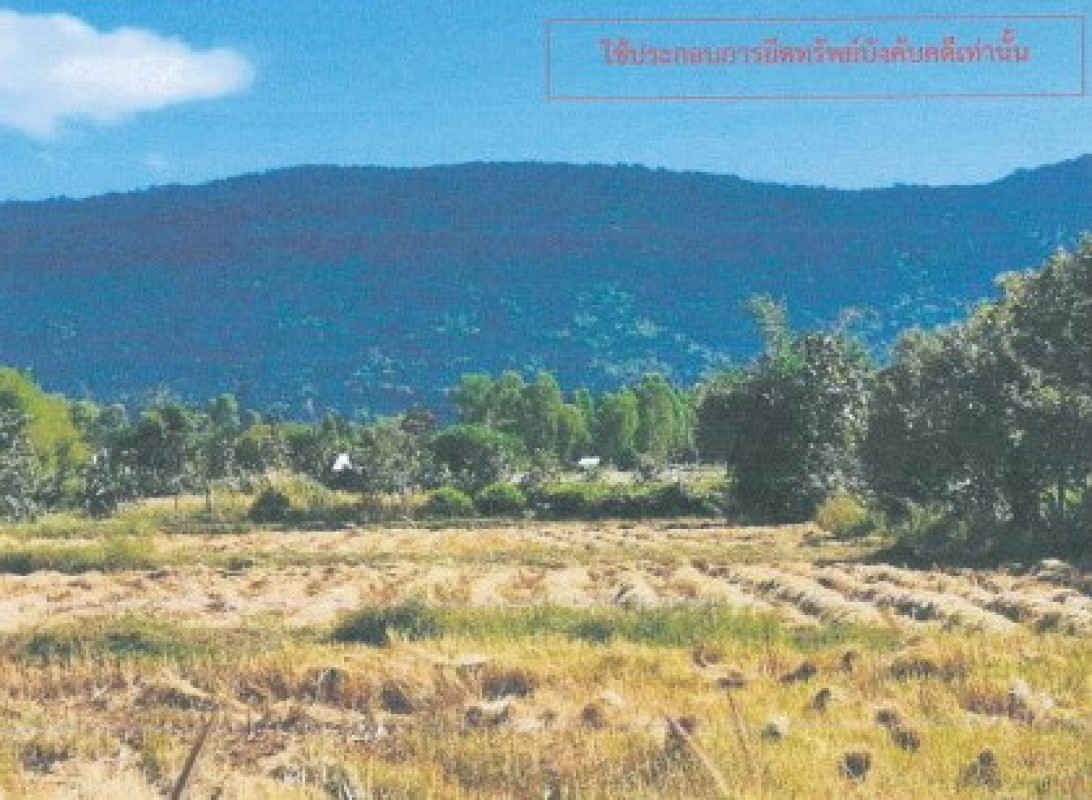 Residential land/lot Kalasin Khao Wong Kut Pla Khao 70000
