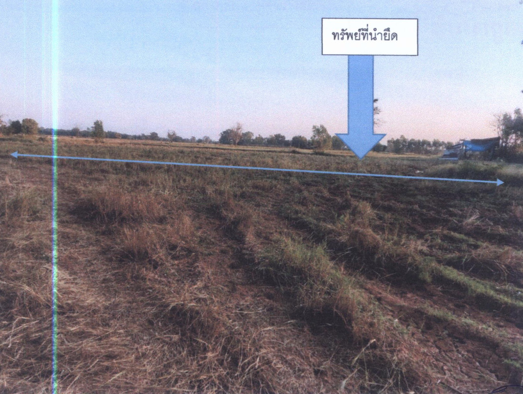 ที่ดินเปล่า บุรีรัมย์ พุทไธสง บ้านเป้า 1373400