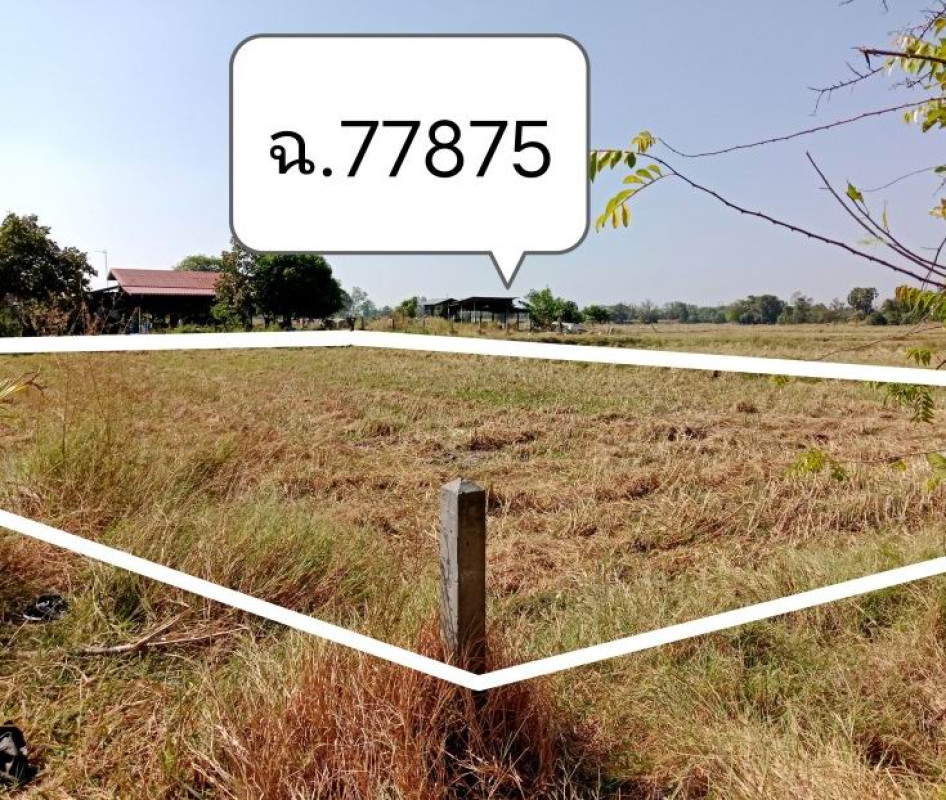 ที่ดินเปล่า กาฬสินธุ์ ยางตลาด คลองขาม 122000
