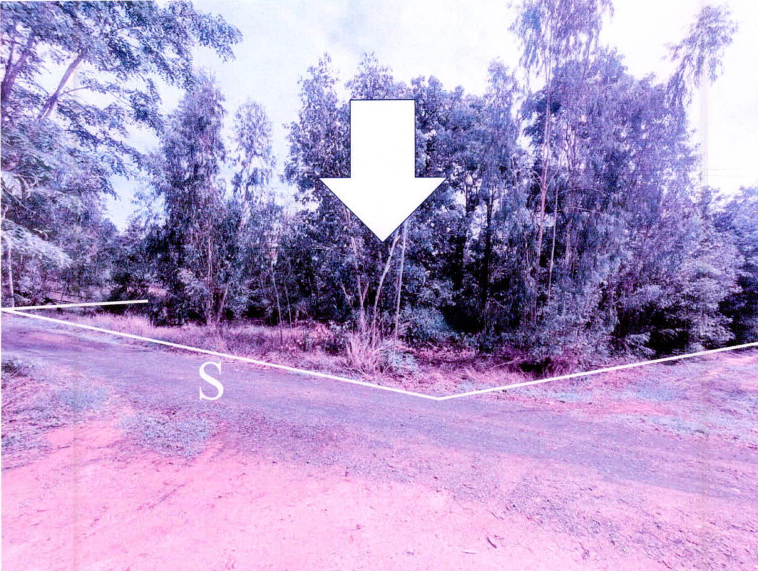 ที่ดินเปล่า ศรีสะเกษ เมืองศรีสะเกษ น้ำคำ 305500