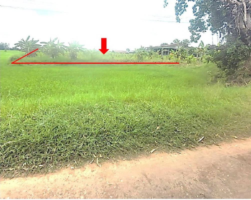 ที่ดินเปล่า กาฬสินธุ์ ฆ้องชัย เหล่ากลาง 368000