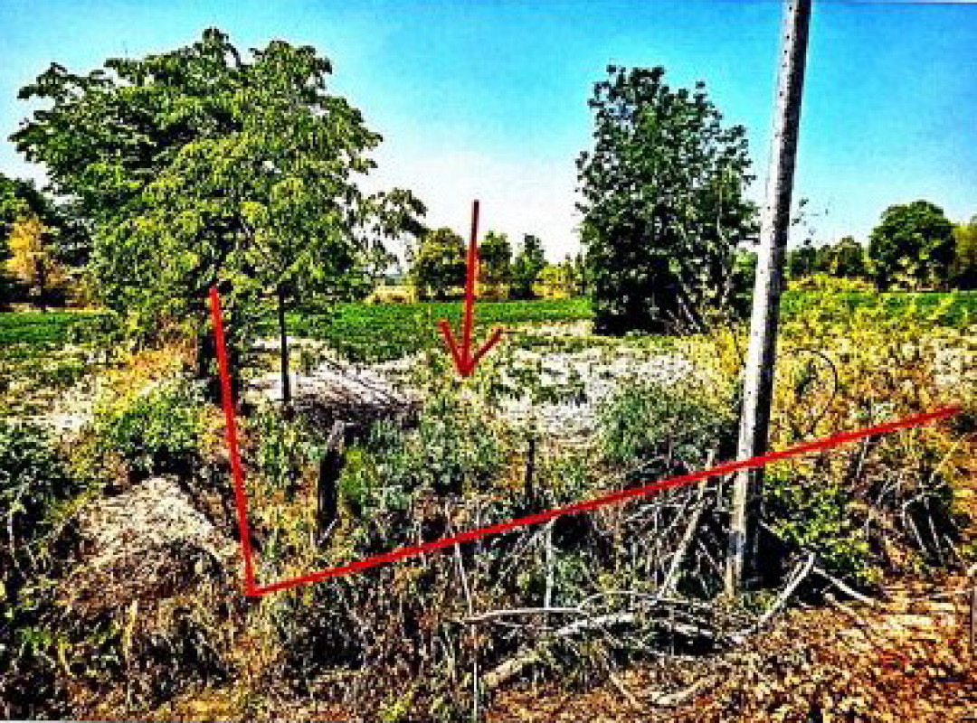 Residential land/lot Udon Thani Nong Han Sabaeng 365000