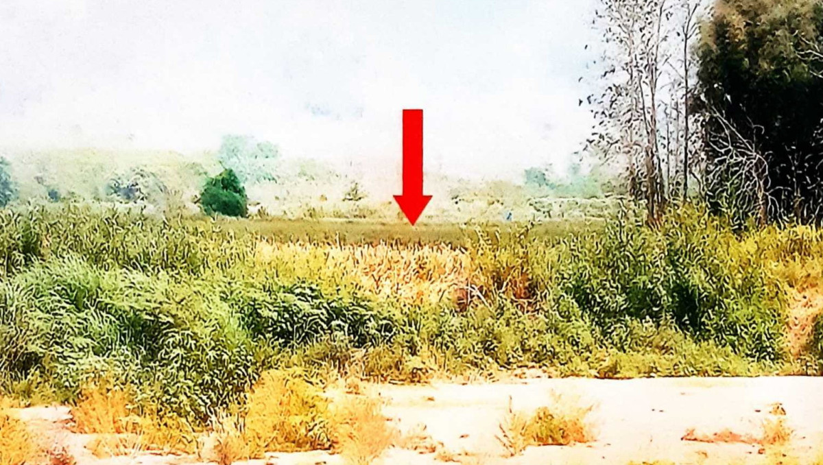 Residential land/lot Phayao Chiang Muan Sa 318450