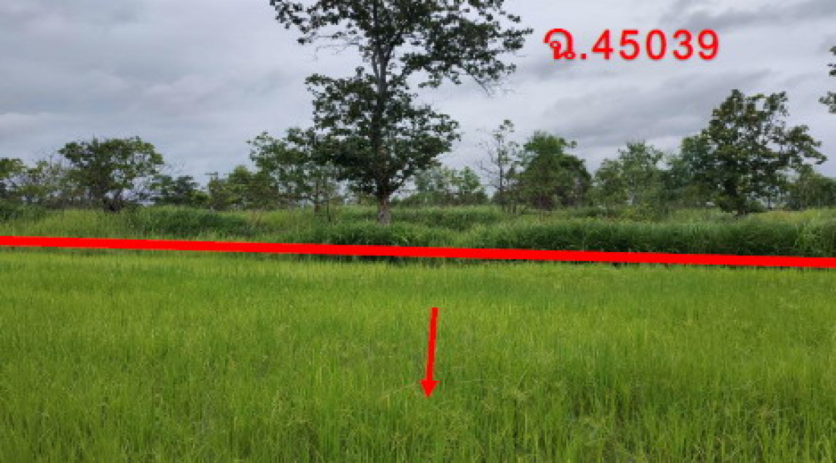 Residential land/lot Ubon Ratchathani Phibun Mangsahan Na Pho 483210