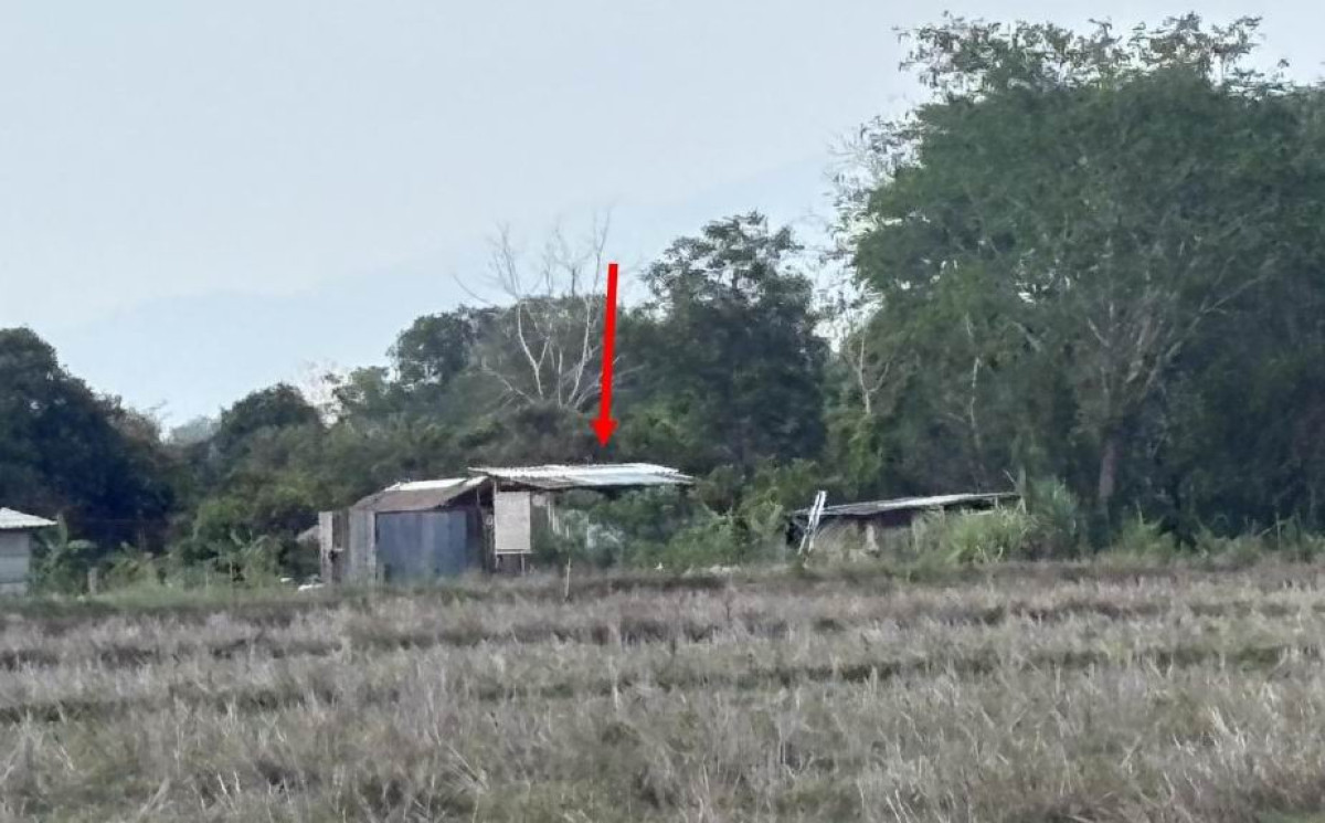 Single house Phayao Chiang Kham Chiang Ban 614925