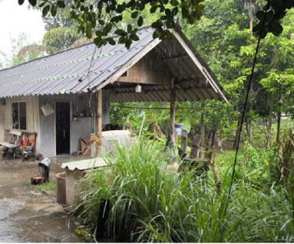 ที่ดินเปล่า ราชบุรี โพธาราม สร้อยฟ้า 4678115