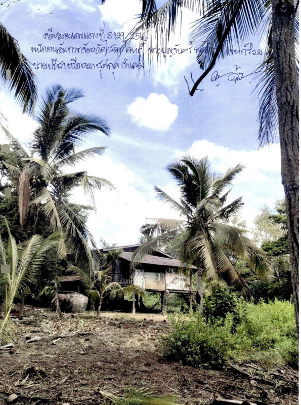 Single house Surat Thani Tha Chang Tha Khoei 367110