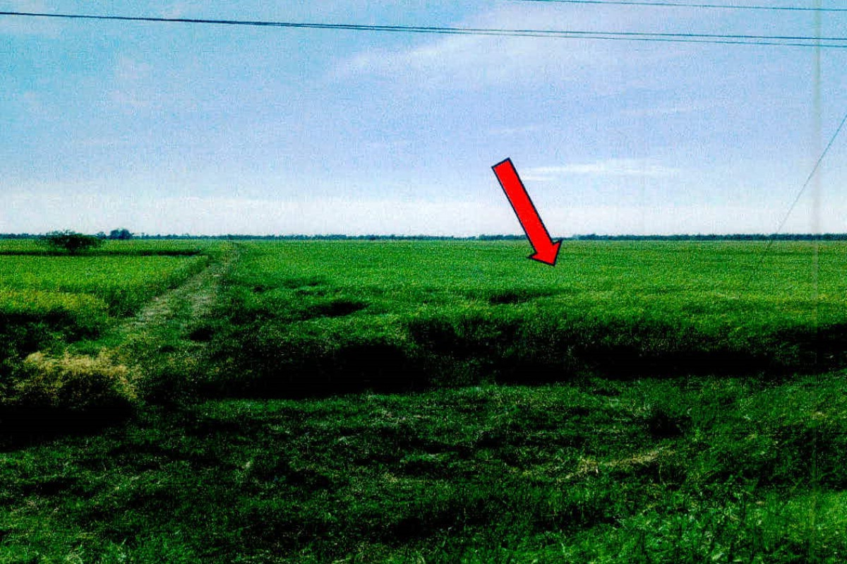 ที่ดินเปล่า ศรีสะเกษ ราษีไศล ดู่ 1525125